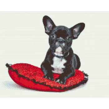 Diamantové malování Diamantové malování - Černý buldoček na polštáři Velikost: 40x50cm, Rámování: Pouze srolované plátno, Diamanty: Kulaté