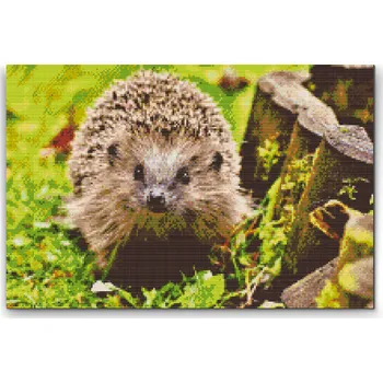 Diamantové malování Diamantové malování - Ježek, noční tvor Velikost: 40x60cm, Rámování: Pouze srolované plátno, Diamanty: Kulaté