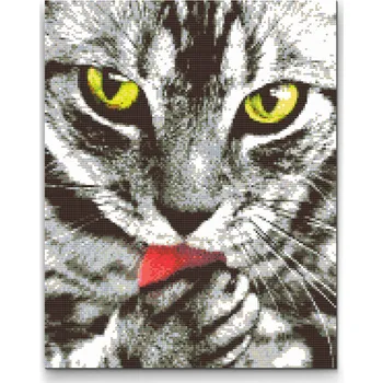 Diamantové malování Diamantové malování - Stříbrná kočka Velikost: 30x40cm, Rámování: Pouze srolované plátno, Diamanty: Čtvercové