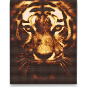Diamantové malování Diamantové malování - Tygr ve světle Velikost: 30x40cm, Rámování: Pouze srolované plátno, Diamanty: Čtvercové