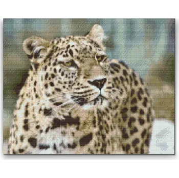 Diamantové malování Diamantové malování - Leopard v přírodě Velikost: 30x40cm, Rámování: Pouze srolované plátno, Diamanty: Čtvercové