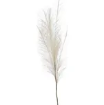 Autronic KUM3434 pampová tráva krémová