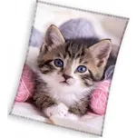 Mikroplyšová deka 150 x 200 cm koťátko…