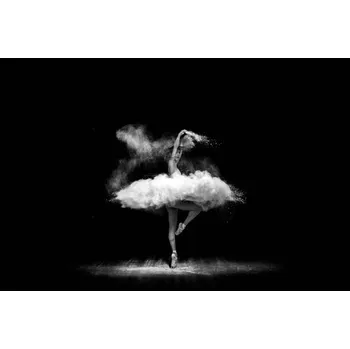 Plakát Plakát, Obraz - Beautiful ballet dancer, dancing with powder, 101cats