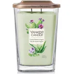 Yankee Candle Elevation Cactus Flower &…