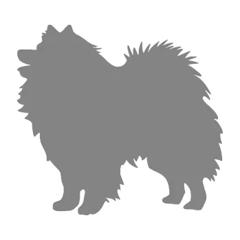 Polep vozidla SAMOLEPKA Pes 192 levá německý špic (17 - šedá) NA AUTO, NÁLEPKA, FÓLIE, POLEP, TUNING, VLASTNÍ TEXT, TISK, AUTOSAMOLEPKY.cz, POLEPY, OBRÁZEK, LOGO, SAMOLEPKY