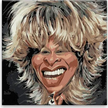 Malování podle čísel - Tina Turner - 40x40 cm, bez dřevěného rámu - CZ výroba