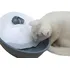 fontána pro kočku Eyenimal Classic Pet Fountain 1,75 l