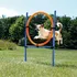 Trixie Agility proskakovací kruh 65 x 115 cm modrý/oranžový