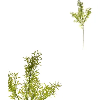 umělá květina Asparagus - umělá větev, barva zelená
