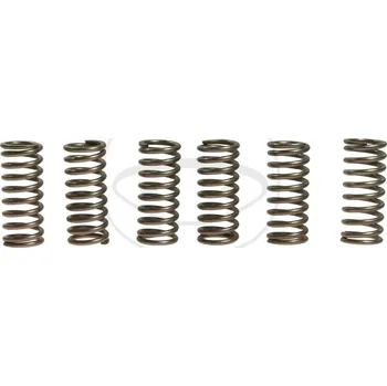 Sada spojkových pružin GAS GAS 300 EC, Racing rok 00-08