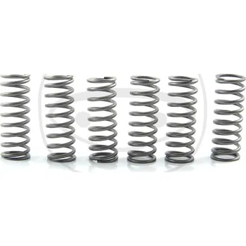 Sada spojkových pružin SUZUKI GSX-R 600 rok 01-04