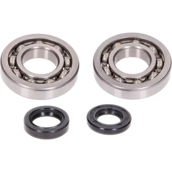 Převodovka OEM Standard Sada ložisek na kliku s guferama, Peugeot Speedfight, Elyseo, Trekker 100 42818