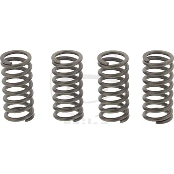 Sada spojkových pružin HONDA CBR 125 R rok 04-14