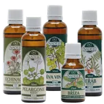 Naděje Kúra K11 zlepšení činnosti cévního systému (Cévní systém )