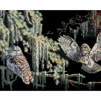 ZUTY Malování podle čísel - SOVY V NOCI (D. RUSTY RUST) Rozměr: 40x50 cm, Rámování: vypnuté plátno na rám