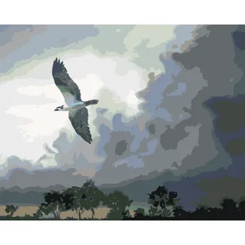 Hračka ZUTY Malování podle čísel - OREL V LETU A BOUŘKOVÉ MRAKY (D. RUSTY RUST) Rozměr: 40x50 cm, Rámování: bez rámu a bez vypnutí plátna