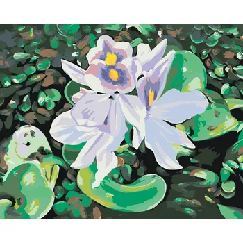 ZUTY Malování podle čísel - LEKNÍN (D. RUSTY RUST) Rozměr: 40x50 cm, Rámování: bez rámu a bez vypnutí plátna