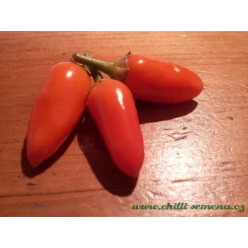 Semeno chilli-semena Thanksgiwing Chilli