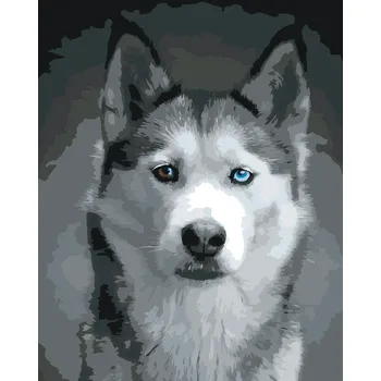 ZUTY Malování podle čísel - HLAVA HUSKYHO Rozměr: 40x50 cm, Rámování: bez rámu a bez vypnutí plátna