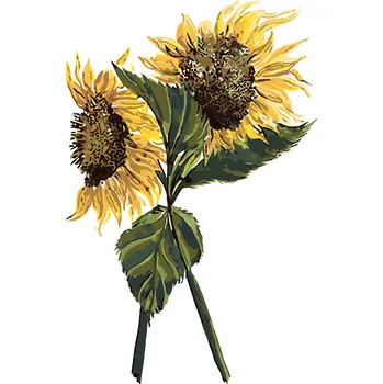 ZUTY Malování podle čísel - SLUNEČNICE (ALEXANDRIA GILBERT) Rozměr: 40x50 cm, Rámování: bez rámu a bez vypnutí plátna