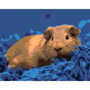 ZUTY Malování podle čísel - MORČE NA MODRÉM KOBERCI Rozměr: 40x50 cm, Rámování: bez rámu a bez vypnutí plátna