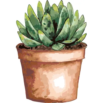 ZUTY Malování podle čísel - SUKULENT V HNĚDÉM KVĚTINÁČI (ALEXANDRIA GILBERT) Rozměr: 40x50 cm, Rámování: vypnuté plátno na rám