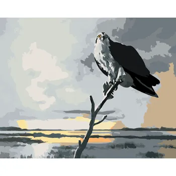 ZUTY Malování podle čísel - OREL NA VĚTVI A MRAKY (D. RUSTY RUST) Rozměr: 40x50 cm, Rámování: bez rámu a bez vypnutí plátna