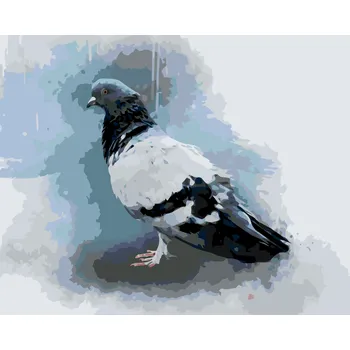 ZUTY Malování podle čísel - HOLUB Rozměr: 40x50 cm, Rámování: bez rámu a bez vypnutí plátna