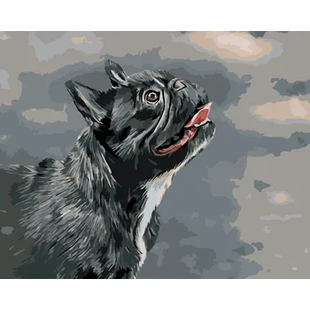 ZUTY Malování podle čísel - VZHLÍŽEJÍCÍ FRANCOUZSKÝ BULDOČEK Rozměr: 40x50 cm, Rámování: bez rámu a bez vypnutí plátna