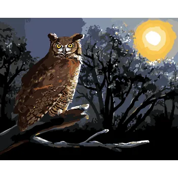 ZUTY Malování podle čísel - SOVA SEDÍCÍ NA VĚTVI V NOCI (D. RUSTY RUST) Rozměr: 40x50 cm, Rámování: bez rámu a bez vypnutí plátna