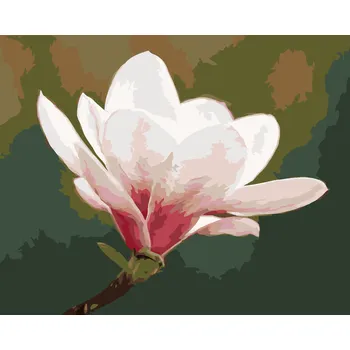 ZUTY Malování podle čísel - BÍLÁ MAGNÓLIE Rozměr: 40x50 cm, Rámování: bez rámu a bez vypnutí plátna