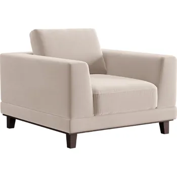 Křeslo Windsor & Co Sametové křeslo Leon