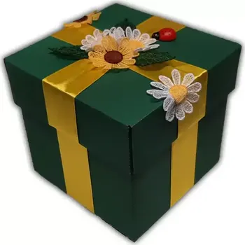 Dárková krabička Papírová dárková krabička kopretina 04-04 zelená