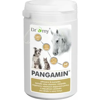Dromy Pangamin Balení: 2000 tablet