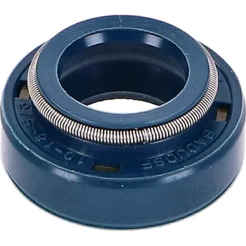 Chlazení pro motocykl Gufero vodní pumpy Top Performances 10x18x5/8, Minarelli AM MIN-42458