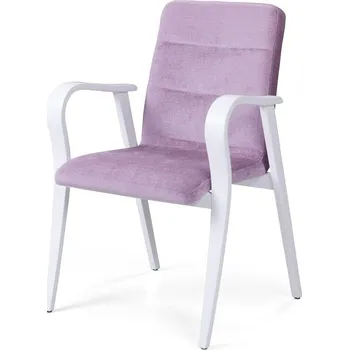 Jídelní židle Jídelní židle s područkami K-33