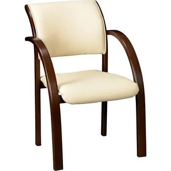 Jídelní židle Jídelní židle s područkami D-2