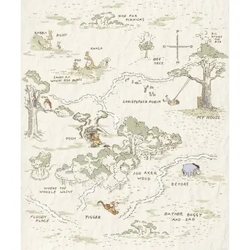 Fototapeta Fototapeta vliesová IADX4-042 Winnie Pooh Map 200x240 cm