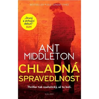 Kniha Chladná spravedlnost Ekniha