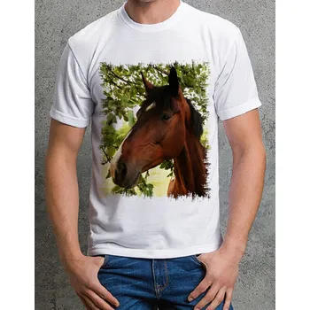 Chlapecké tričko tričko s koněm č. 7 152