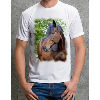 Chlapecké tričko tričko s koněm č. 24 XL