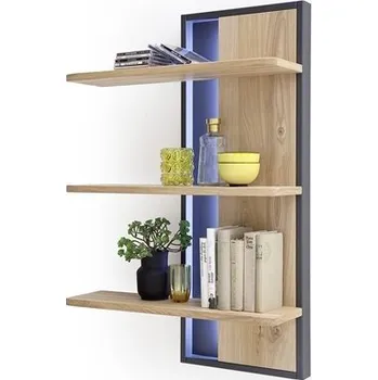 Komoda Panel s policemi 53 PORTLAND dub bělený sukatý