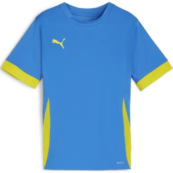 Dres Puma teamGOAL Matchday Jersey jr 705748-16 Velikost 164