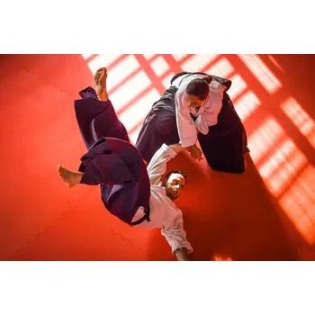 Plakát Plakát, Obraz - Two Aikido Fighters, sanjeri