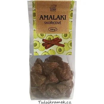 Koření DNM AMALAKI skořicové 100g