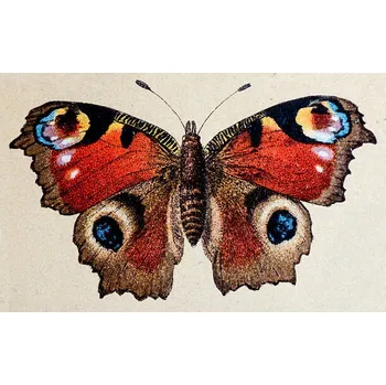 Plakát Plakát, Obraz - European Peacock , insect animals antique, ilbusca