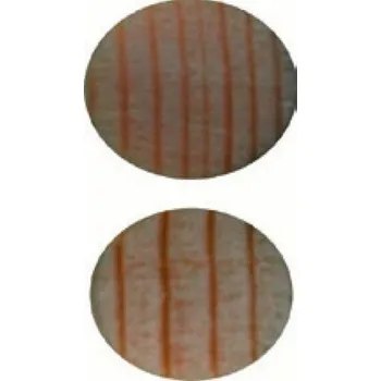 Petz GAR102, Duše na housle