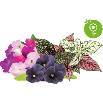 Kapsle Smart Garden - mix květin, 9 ks