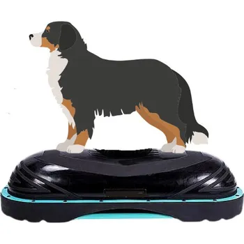 Balanční podložka Balanční mini prsa se základnou